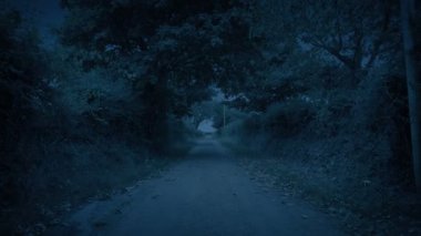 Akşamları çiftlik kapısı olan köy yolu.