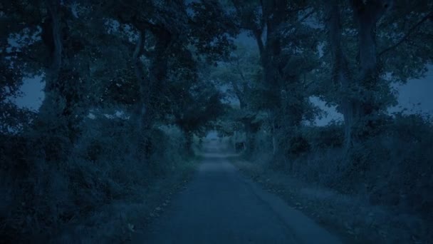 夜色中的乡间小路 — 图库视频影像