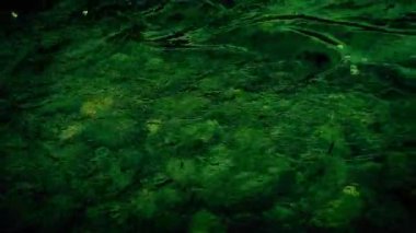 Gaz ve Atık Ürün Kirleten Nehir