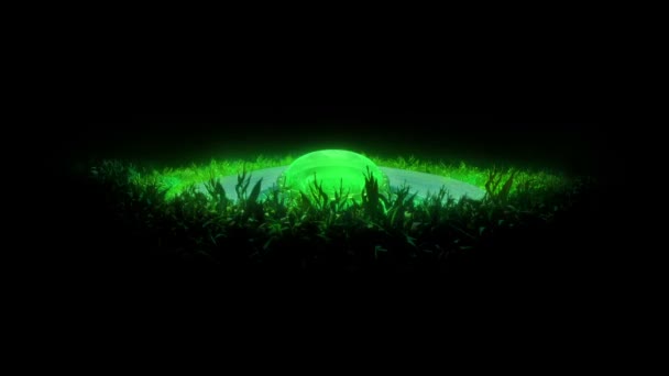 Ufo Zářící Kukuřičném Poli Noci — Stock video