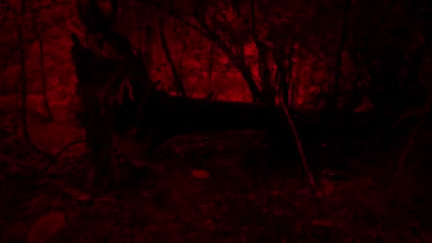 Red Monster Pov Correre Attraverso Foresta — Video Stock