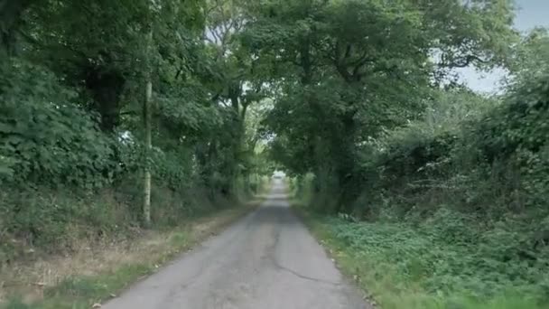 Utazás Lefelé Country Road Vidéki Táj — Stock videók
