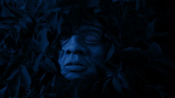 在丛林中的雕像上 眼睛开始发光 — 图库视频影像