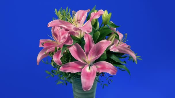 Powoli Krążące Piękne Kwiaty Lilly Wazonie Bluescreen — Wideo stockowe