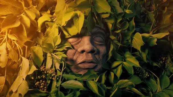 Overgrown Statue Face Jungle Sunset — Vídeos de Stock