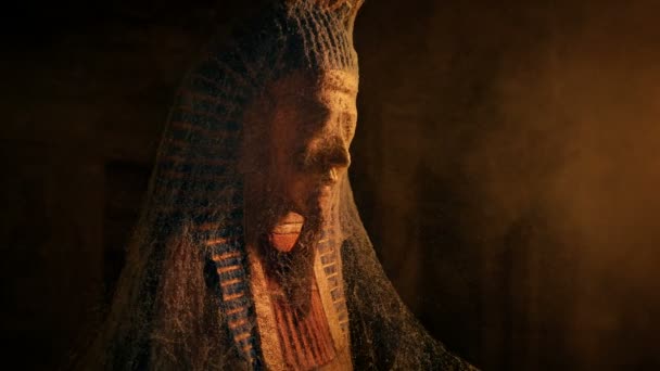 Dusty Αίγυπτος Χρυσή Φιγούρα Χρυσό Φως Του Ήλιου — Αρχείο Βίντεο
