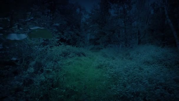 在幻想的黑暗林地中行走 — 图库视频影像