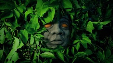 Eyes Glow On Scary Face In Jungle