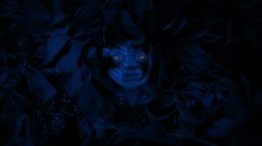 Yellow Eyes Glow On Aztec Idol In The Jungle