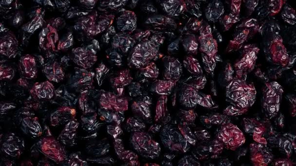 Αποξηραμένα Φρούτα Του Cranberry Pile Περιστροφή — Αρχείο Βίντεο