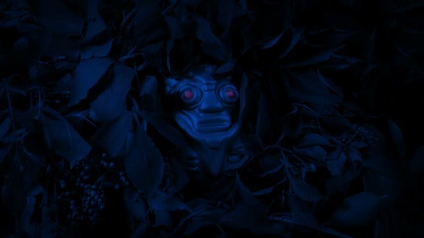 Red Eyes Glow Scary Jungle Idol — Stok video