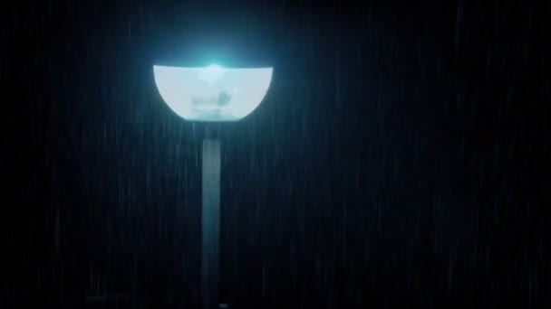 City Street Light Rainfall Night — Vídeos de Stock
