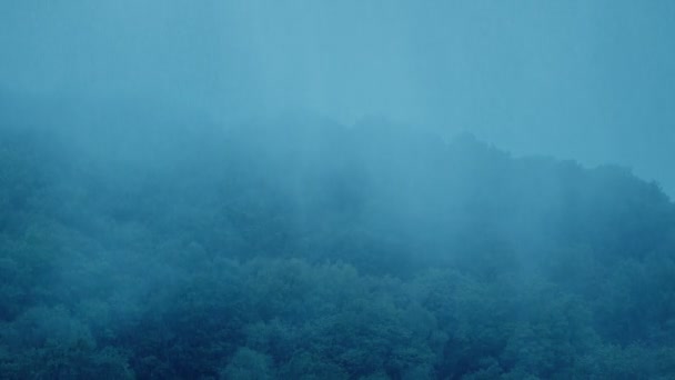 森の上を移動する大雨と霧 — ストック動画