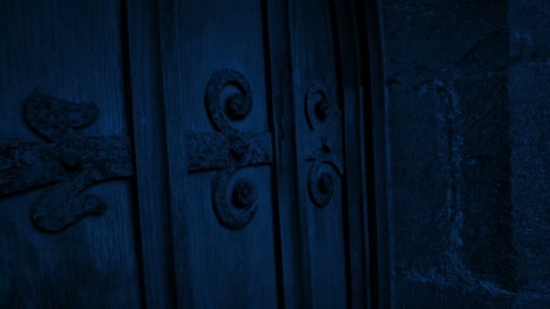 夜の大型中世の扉 — ストック動画