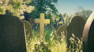 Cross Lit Up In Graveyard On Sunny Day