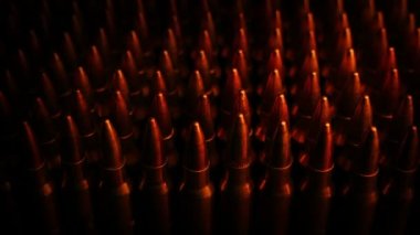 Passing Rows Of Bullets In Firelight