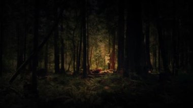 Storybook Scene Moving Through Dark Forest