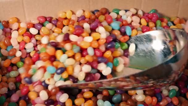 Candy Beans Scooped Shots — Video