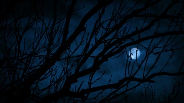 Uderzenia Pioruna Księżyc Gołymi Gałęziami Drzew — Wideo stockowe
