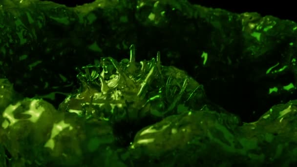 Verde Alieno Creatura Intorno Viscido Bozzolo — Video Stock