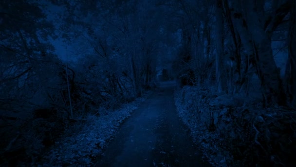 Pov Walking Country Lane Night — ストック動画
