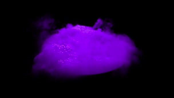 黑色组合物上的紫色液泡隔离 — 图库视频影像