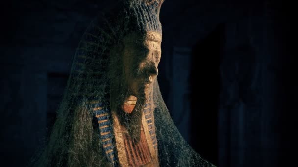 Faraón Egipcio Dentro Tumba Perdida Pirámide — Vídeos de Stock