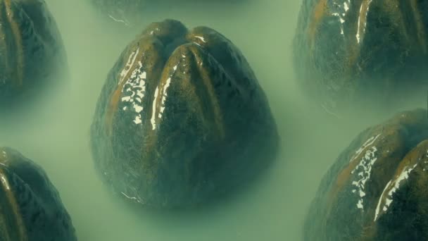 Nest Alien Eggs Misty Swamp — Vídeo de Stock