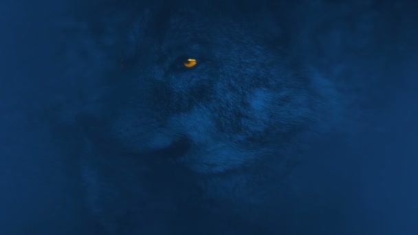 Big Wolf Fiery Eyes Mist — Wideo stockowe