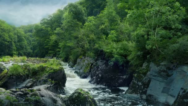 Сільський Пейзаж Лісом Річкою — стокове відео