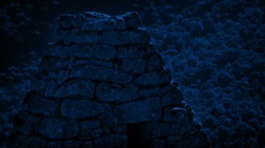 Birds Fly Around Ancient Ruins At Night