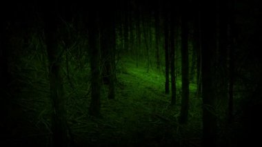 Ürkütücü Yeşil Ormanda Yürüyorum