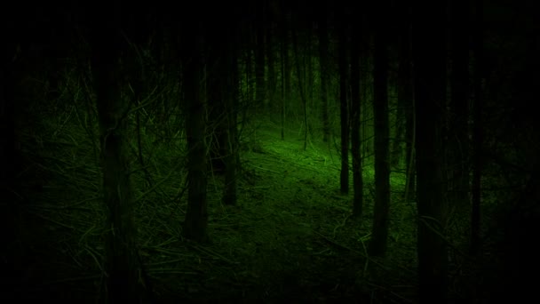 Прогулка Жуткому Зеленому Лесу — стоковое видео