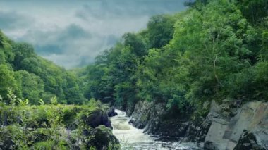 Wild Nature Landscape With Forest And River