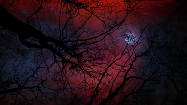 Apokaliptik Langit Dengan Petir Dan Bulan Atas Pohon Mati — Stok Video