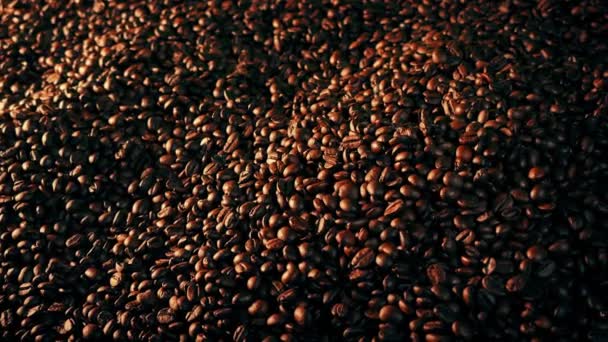 Dry Roasting Coffee Beans Barista Scene — Stock videók