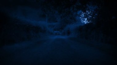 Huge Moon Above Countryside Road Driving POV