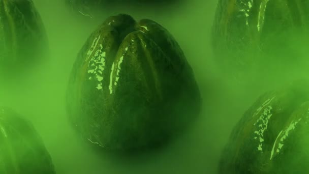 Huevos Alienígenas Viscosos Pantano Brumoso — Vídeos de Stock