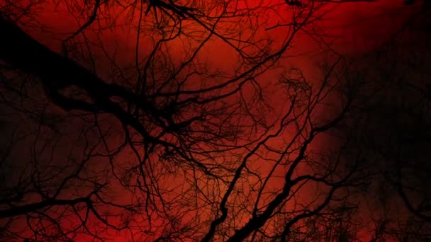 Fire Lightning Smoke Dead Forest Ww3 Armageddon Concept — стокове відео