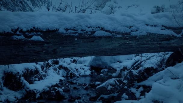 Über Bach Schneefall Winter Wald Detail — Stockvideo