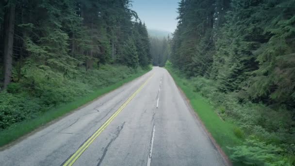 Uomo Cicli Mountain Highway — Video Stock