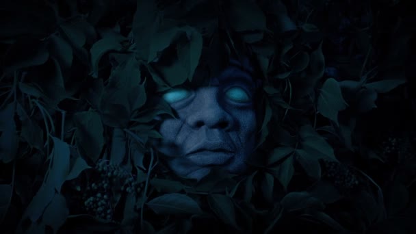在黑暗中闪耀的蓝眼睛注视着丛林偶像 — 图库视频影像