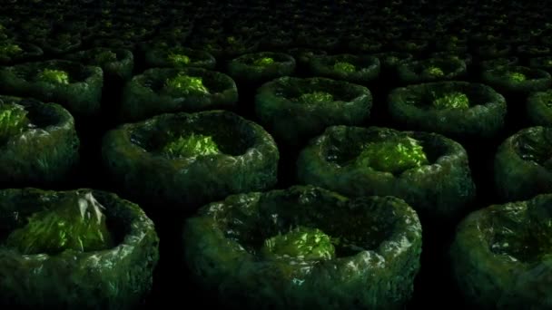 麻袋中的突变体绿色生物 — 图库视频影像