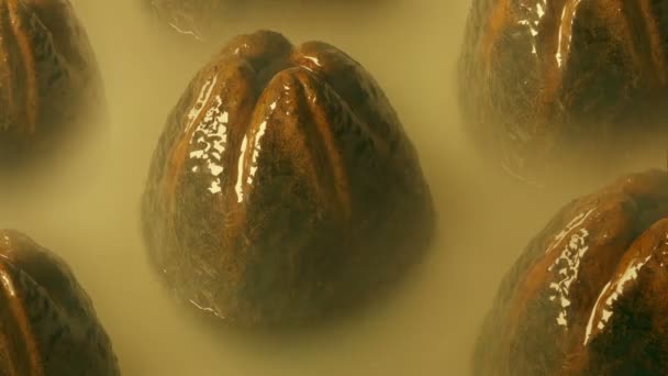 Grandes Ovos Alienígenas Pântano Nebuloso — Vídeo de Stock