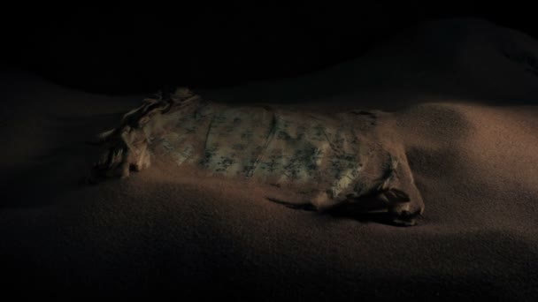 Pergaminho Chinês Antigo Encontrado Caverna — Vídeo de Stock