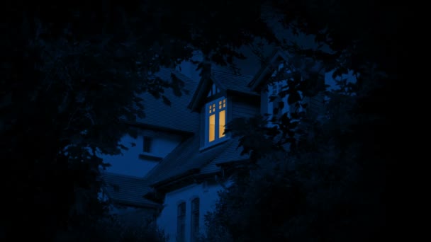 Geceleri Ağaçların Çerçevelediği Evde Işık Yanar — Stok video