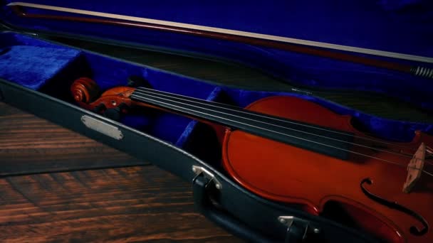 Скрипка Взята Футляру Концерті — стокове відео