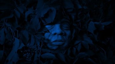 Gece Ormanda Heykel Yüzü Büyümüş