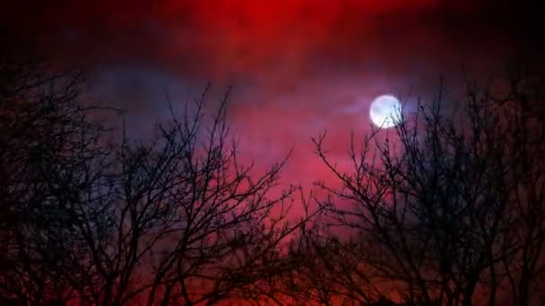 Röd Himmel Med Blixt Och Måne Skrämmande Fantasi Väder — Stockvideo