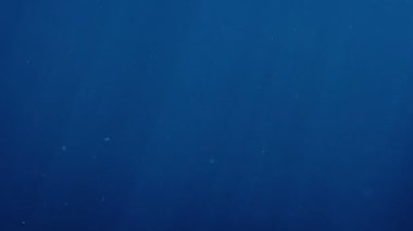 Su altında dönen parçacıkların olduğu karanlık su.